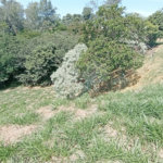 Terreno à venda em Observatório, Vinhedo, SP