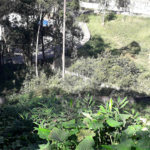 Terreno à venda ou para alugar em Vila Andrade, São Paulo, SP