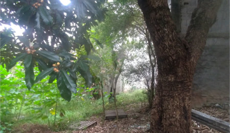 Terreno à venda em Casa Verde, São Paulo, SP