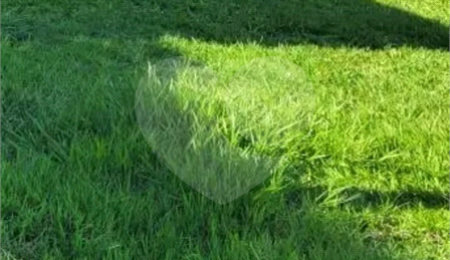Terreno à venda no condomínio Altos do Jaraguá, Araraquara - SP