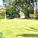 Casa à venda com 4 suítes no condomínio Chácara Flora, São Paulo - SP