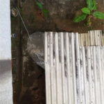 Terreno à venda em São Cristóvão, Rio de Janeiro, RJ