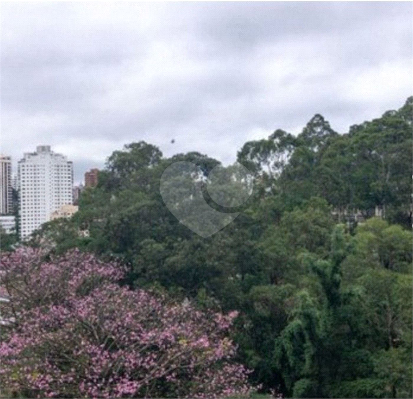 Apartamento à venda com 3 suítes em Vila Andrade, São Paulo, SP