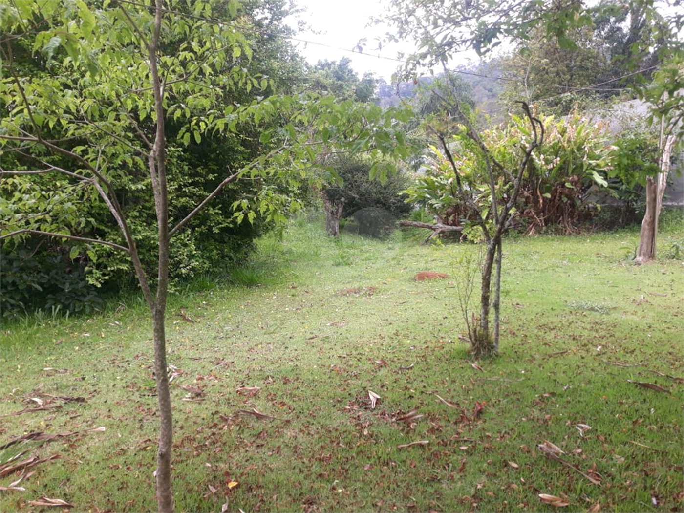 Terreno para alugar em Jardim Rene, São Roque, SP