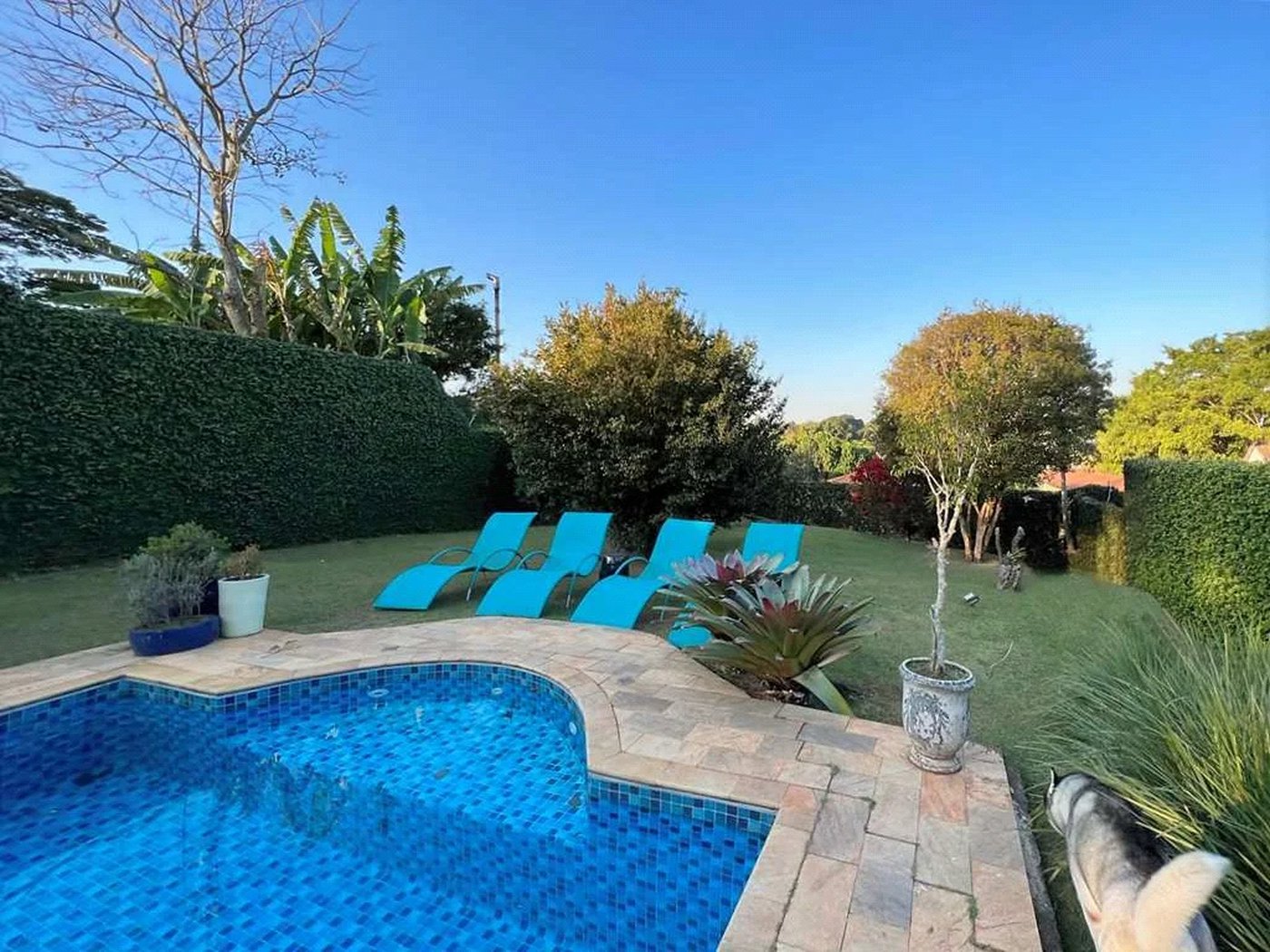Casa à venda com 4 suítes em Vila Santo Antônio, Cotia, SP