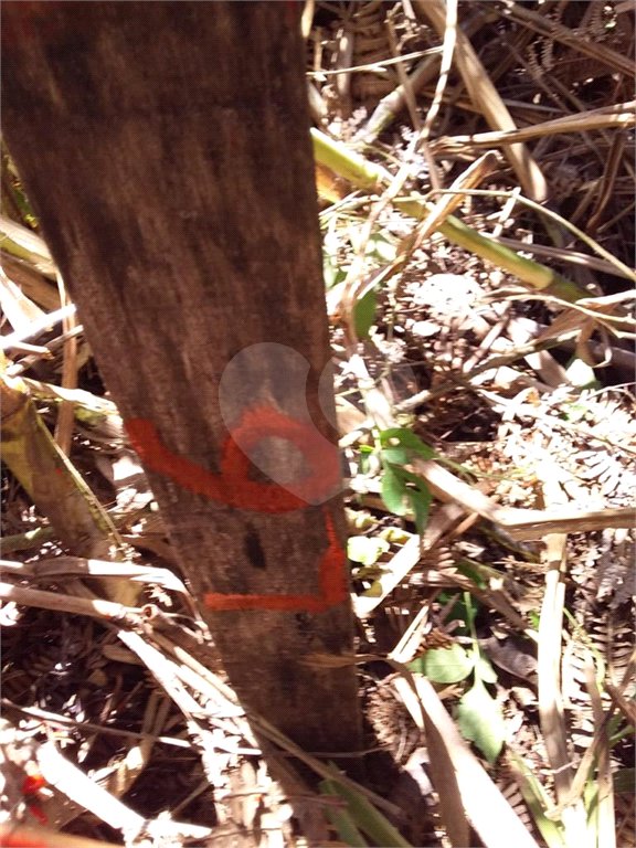 Terreno à venda no condomínio Sausalito, Mairiporã - SP