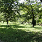 Chácara à venda com 2 quartos, sendo 1 suíte, em Santa Cândida, Vinhedo, SP
