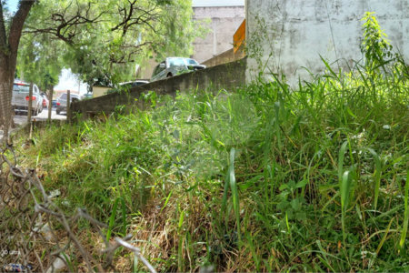 Terreno à venda ou para alugar no Centro, Atibaia, SP