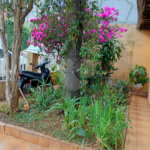 Casa Térrea à venda com 3 quartos em Vila Pereira Barreto, São Paulo, SP