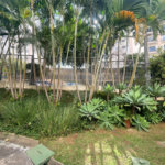 Apartamento à venda com 3 quartos, sendo 1 suíte, em Vila Amélia, São Paulo, SP