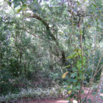 Chácara à venda com 2 quartos, sendo 1 suíte, no Centro, Araçariguama, SP
