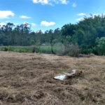 Terreno à venda em Cézar de Souza, Mogi das Cruzes, SP