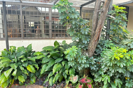 Sobrado para alugar com 4 quartos, sendo 2 suítes,  no Centro, Três Lagoas, MS