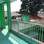 Exuberante no Horto Florestal