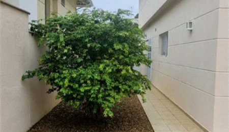 Casa à venda com 4 quartos, sendo 2 suítes,  no condomínio Casas de Windsor, São Paulo - SP