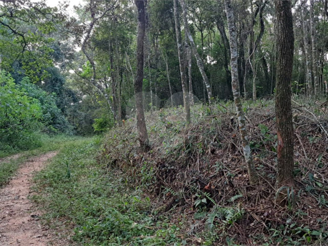 Terreno à venda em Roseira, Mairiporã, SP