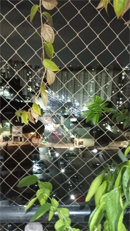 Apartamento à venda com 3 quartos em Vila Nova Cachoeirinha, São Paulo, SP