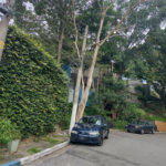 Sobrado à venda com 3 quartos em Tremembé, São Paulo, SP