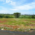 Terreno à venda em Jardim Universal, Araraquara, SP
