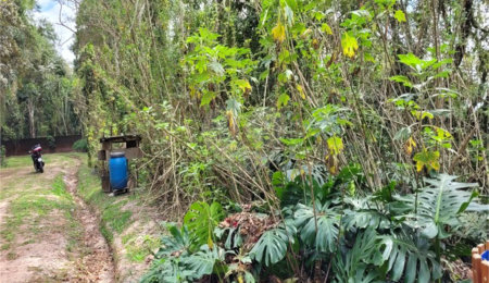 Terreno à venda em Serra da Cantareira, Mairiporã, SP