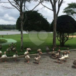 Casa à venda com 3 quartos, sendo 1 suíte, no condomínio Residencial Patrimônio do Carmo, São Roque - SP