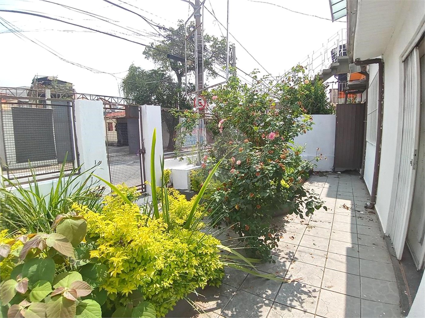 Terreno à venda ou para alugar com 3 quartos em Tucuruvi, São Paulo, SP