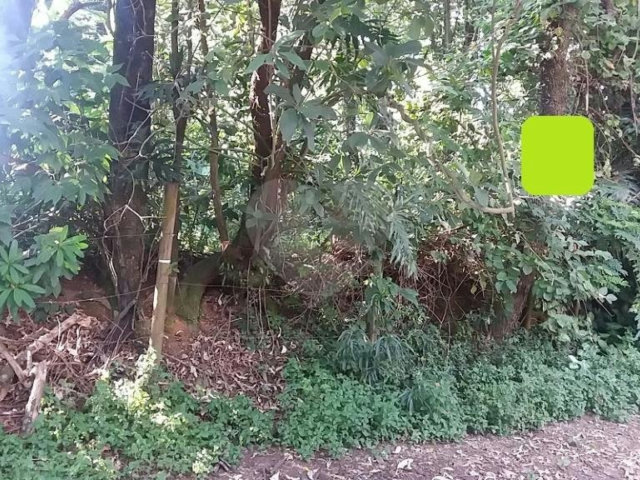 Terreno à venda em Tremembé, São Paulo, SP