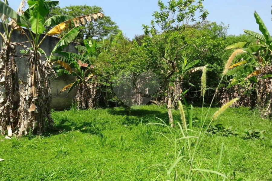 Terreno à venda em Horto Florestal, São Paulo, SP