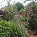 Casa de Vila à venda com 3 quartos em Vila Vieira (vila Xavier), Araraquara, SP