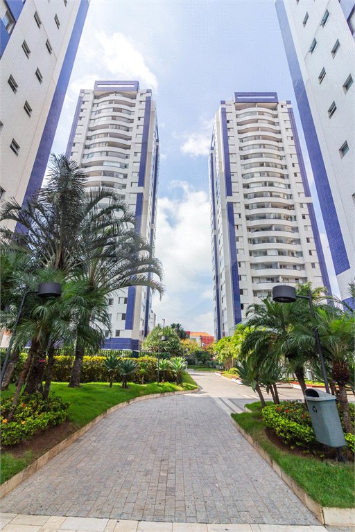 Apartamento à venda com 3 quartos, sendo 1 suíte, em Cambuci, São Paulo, SP