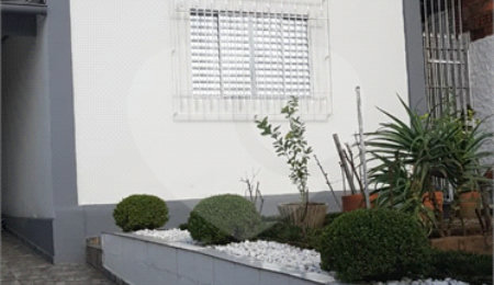 Terreno à venda em Vila Santa Catarina, São Paulo, SP