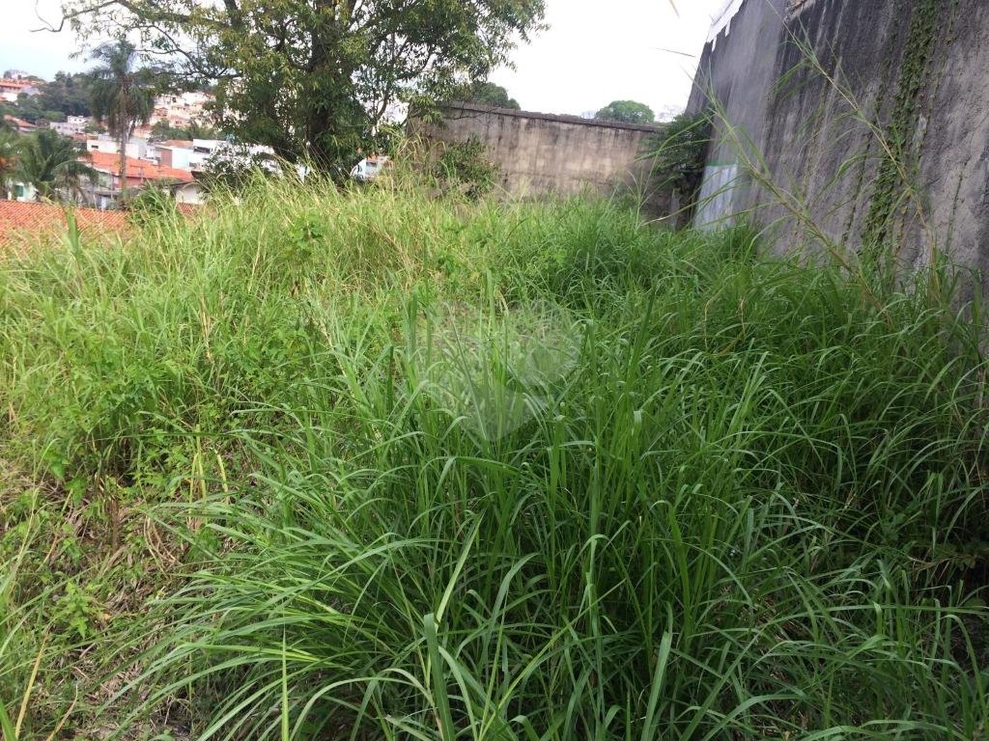 Terreno à venda em Tremembé, São Paulo, SP