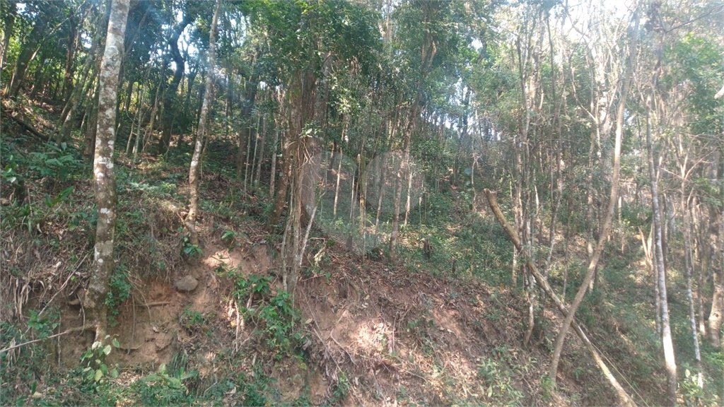 Terreno à venda em Serra da Cantareira, Mairiporã, SP