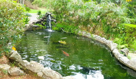 Terreno à venda em Jardim São Vicente, Cotia, SP
