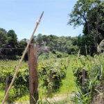 Chácara à venda em Estância Hidromineral Santa Eliza, Itupeva, SP