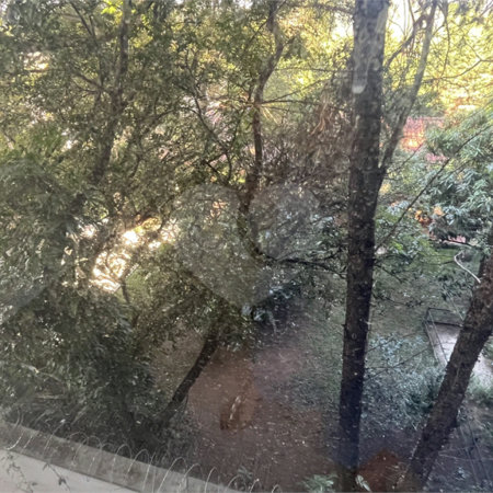 Sala para alugar em Jardim Paulista, Atibaia, SP