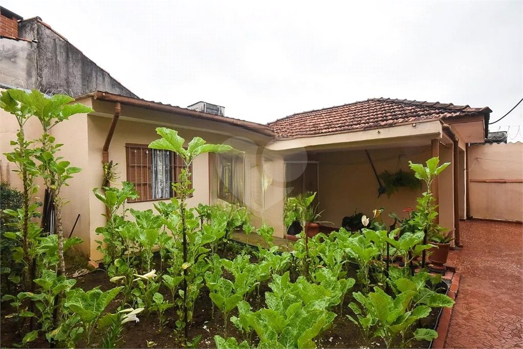 Casa Térrea à venda com 2 quartos, sendo 1 suíte,  em Vila Morse, São Paulo, SP