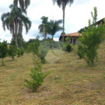 Chácara à venda com 4 quartos, sendo 1 suíte,  em Loteamento Quinta da Mata, Ibiúna, SP