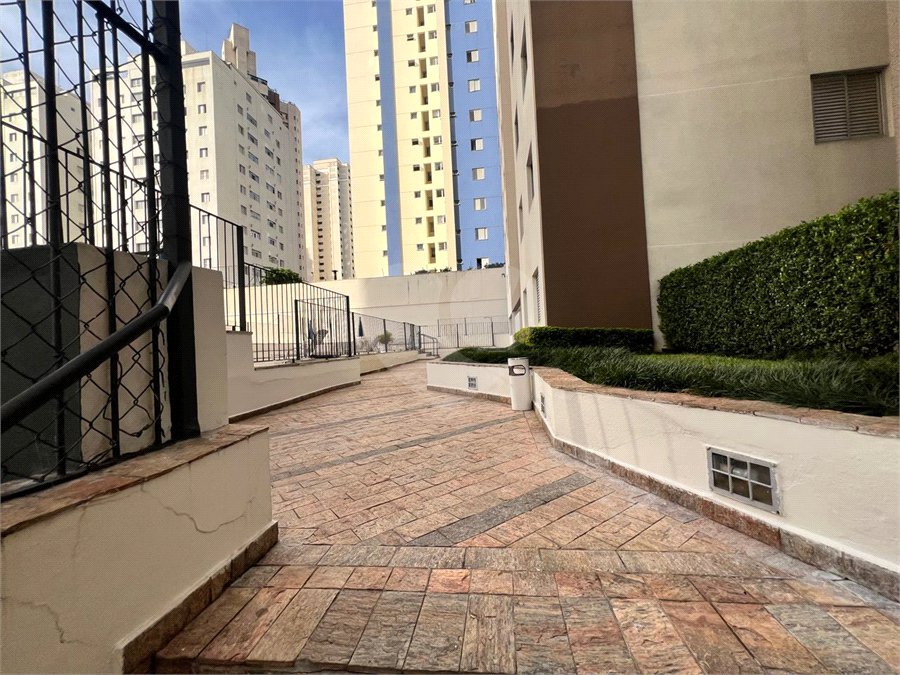Apartamento para alugar com 3 quartos em Vila Mascote, São Paulo, SP