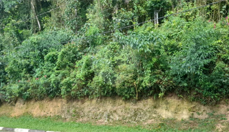 Terreno à venda no condomínio Parque Imperial da Cantareira, Mairiporã - SP