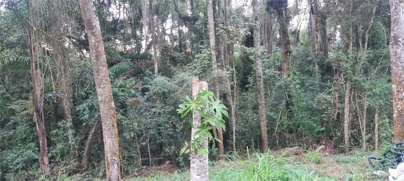 Condomínio à venda em Serra da Cantareira, Mairiporã, SP