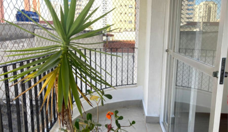 Apartamento para alugar com 3 quartos em Chácara Santo Antônio, São Paulo, SP