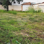 Terreno para alugar no Centro, Araraquara, SP