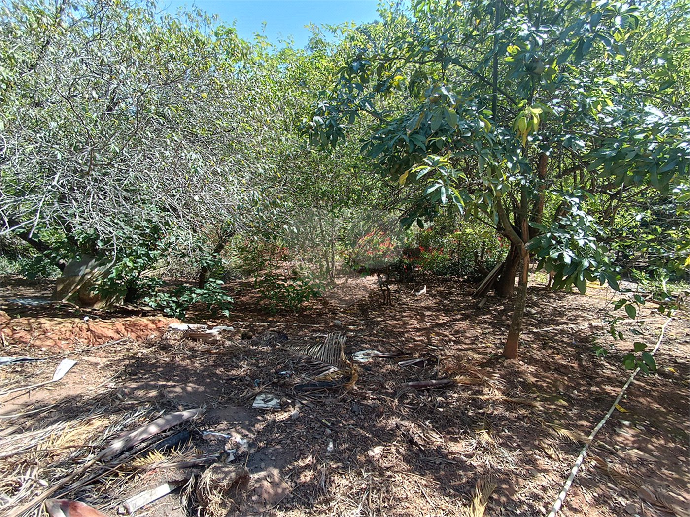 Chácara à venda com 7 quartos, sendo 1 suíte, no Centro (mailasqui), São Roque, SP