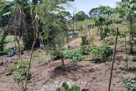 Chácara à venda com 2 quartos em Vila Caputera, Mogi das Cruzes, SP
