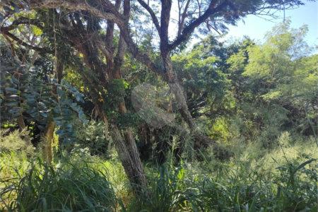 Terreno à venda em Jardim Paulista, Atibaia, SP