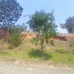 Terreno à venda no condomínio Aútria da Cantareira, Mairiporã - SP