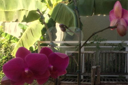 Sobrado à venda com 4 quartos, sendo 1 suíte, em Jardim Novo Mundo, São Paulo, SP
