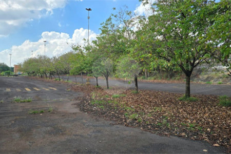 Galpão à venda em Vila Xavier (vila Xavier), Araraquara, SP