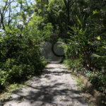 Terreno à venda no condomínio Estäncia Parque de Atibaia, Atibaia - SP